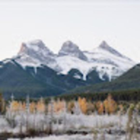 Meet your Posher, Grace - Picture 1 of 1